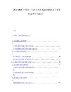 2025-2030中国风干牛肉市场盈利能力预测及未来销售趋势研究报告