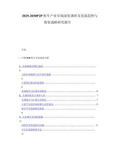 2025-2030P2P租车产业市场深度调研及发展趋势与投资战略研究报告