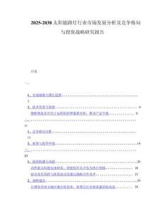 2025-2030太阳能路灯行业市场发展分析及竞争格局与投资战略研究报告
