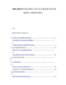 2025-2030紫外线杀菌灯行业行业市场发展分析及政策建议与策略研究报告