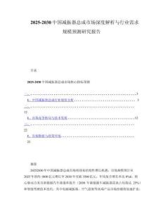 2025-2030中国减振器总成市场深度解析与行业需求规模预测研究报告