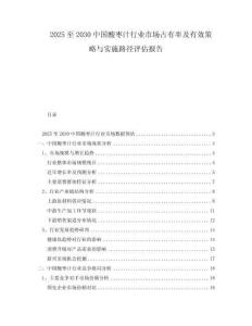 2025至2030中国酸枣汁行业市场占有率及有效策略与实施路径评估报告