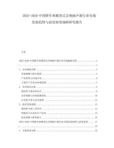 2025-2030中国轿车和掀背式音频扬声器行业市场发展趋势与前景展望战略研究报告