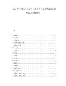 2025年中国水平层流净化工作台行业投资前景及策略咨询研究报告