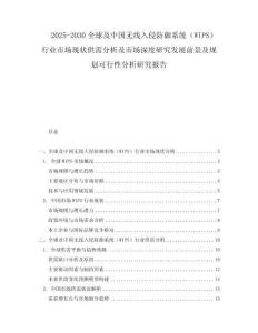 2025-2030全球及中国无线入侵防御系统（WIPS）行业市场现状供需分析及市场深度研究发展前景及规划可行性分析研究报告