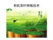 有机茶叶种植技术培训课件