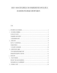 2025-2030眉毛颜色行业市场现状供需分析及重点企业投资评估规划分析研究报告