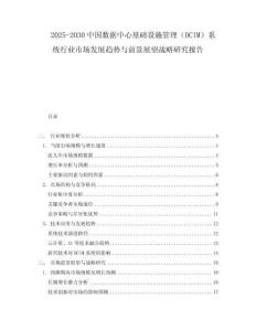 2025-2030中国数据中心基础设施管理（DCIM）系统行业市场发展趋势与前景展望战略研究报告