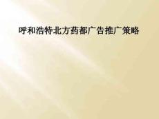 呼和浩特北方药都广告推广策略