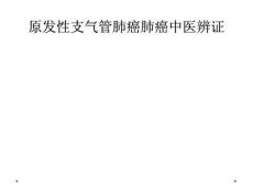 原发性支气管肺癌肺癌中医辨证