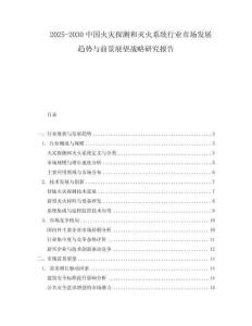 2025-2030中国火灾探测和灭火系统行业市场发展趋势与前景展望战略研究报告
