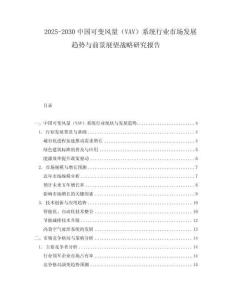 2025-2030中国可变风量（VAV）系统行业市场发展趋势与前景展望战略研究报告