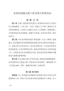 东莞市技能大师工作室设立管理办法