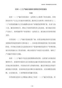 农村一二三产融合发展专项债项目研究报告