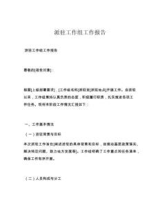 派駐工作組工作報告