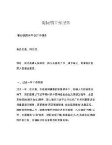 谢岗镇工作报告