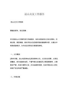 凉山火灾工作报告
