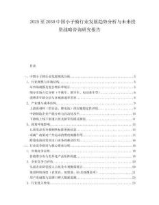 2025至2030中国小子骑行业发展趋势分析与未来投资战略咨询研究报告