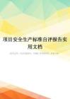项目安全生产标准自评报告实用文档