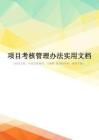 项目考核管理办法实用文档