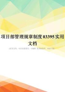 项目部管理规章制度03395实用文档