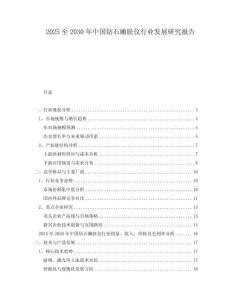 2025至2030年中国钻石嫩肤仪行业发展研究报告