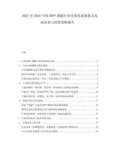 2025至2030中国BOPP薄膜行业市场发展现状及发展前景与投资策略报告