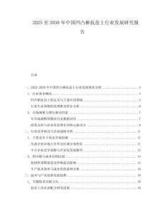 2025至2030年中國凹凸棒抗鹽土行業發展研究報告