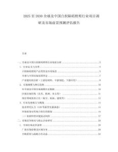 2025至2030全球及中国白炽障碍照明行业项目调研及市场前景预测评估报告