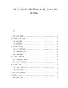 2025至2030年中国电镀橱柜多功能刀架行业发展研究报告
