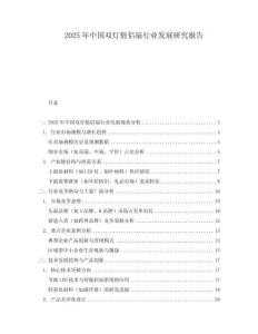 2025年中国双灯情侣扇行业发展研究报告