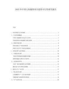 2025年中国六角健凿项目投资可行性研究报告