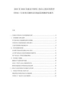 2025至2030全球及中国带上你自己的应用程序（BYOA）行业项目调研及市场前景预测评估报告