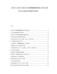 2025至2030全球及中国聚醚醚酮垫圈行业项目调研及市场前景预测评估报告