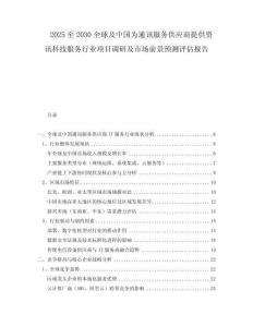 2025至2030全球及中国为通讯服务供应商提供资讯科技服务行业项目调研及市场前景预测评估报告
