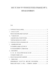 2025至2030年中国形状误差量仪市场深度分析与投资前景预测报告