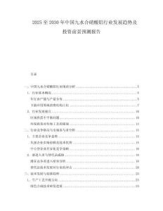 2025至2030年中国九水合硝酸铝行业发展趋势及投资前景预测报告