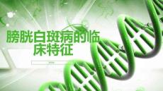膀胱白斑病的临床特征