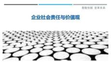 企业社会责任与价值观-洞察剖析