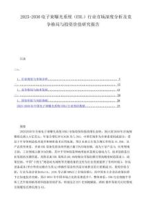 2025-2030电子束曝光系统（EBL）行业市场深度分析及竞争格局与投资价值研究报告