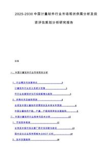 2025-2030中国计量软件行业市场现状供需分析及投资评估规划分析研究报告