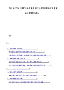2025-2030中国光伏级交联剂行业现状调查与前景策略分析研究报告