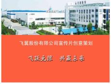 飛翼股份有限公司宣傳片創(chuàng)意策劃案