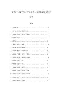 体育产业数字化：智能体育与智慧体育发展路径研究
