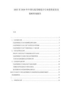 2025至2030年中国污泥用硬度计行业投资前景及策略咨询报告