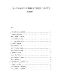 2025至2030年中國鐵錨拉手市場現狀分析及前景預測報告