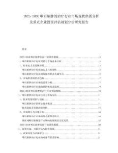 2025-2030咽后脓肿的治疗行业市场现状供需分析及重点企业投资评估规划分析研究报告