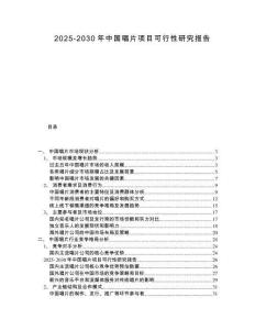 2025-2030年中國唱片項目可行性研究報告