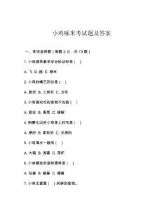 小雞啄米考試題及答案