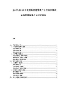2025-2030中国膝盖疼痛管理行业市场发展趋势与前景展望战略研究报告